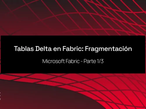 fabric 1_correcto