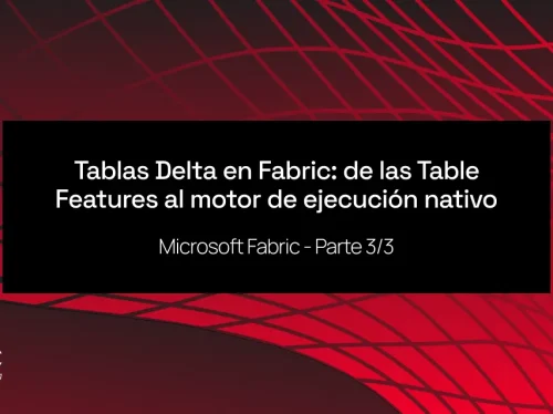 fabric 3_correcto